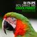 80’s Dance Mix: Green Parrot Revisited Vol. 1 (2008) image