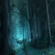 Dark Forest / Forest Mix 1 image