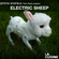 Electric sheep image