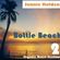 Bottle Beach 2. image