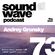 Andrey Gronsky - Sound Wave Podcast 73 image
