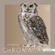Chromacast (Classics) 38 - Kingpin image