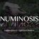 Numinosis for 09/01/13 image