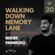 Walking Down Memory Lane |20| Mix by Pahan (SL) | 26.10.2020 | TM Radio USA image