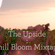 The Upside: Chill Bloom Mixtape image