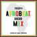 AFROBEAT MIX 2020 DJ TROOPA image