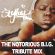 DJ STYLOOP - THE NOTORIOUS B.I.G. TRIBUTE MIX image