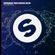Spinnin' Records - 2019 Future Hits image