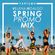 Spring Promo Mix - Villena Hidalgo image