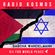 #02971 RADIO KOSMOS - DJs FOR WORLD PEACE - SASCHA WARDELMANN [DE] powered by FM STROEMER image