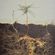 Ecocentricity image