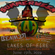Lakes of Fire 2019 - Pre-Burn, Conclave, Fireworks, Effigy Burn & Finale - BenmeR Live DJ Set image