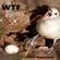 Crazy Malamuk - Wtf just happened image