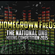 Homegrown Freqs 2015 Live Mix image