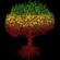 Valerian Roots image