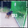 Mild Animals w/ Victor Saldana - 14th June 2019 image