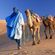 Deep blue desert - By Camel Rider image