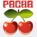 daZZla @ Pacha Ibiza (Funky Room) (Pure Pacha Sat 20th June) image