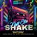 Shake It up Tonight image