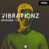Vibrationz Podcast #102 - DanceFM Romania image