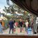 Monkeying Around @ eZo Festival grounds | Sabius on Earth image