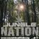Jungle Nation - Jungle/DnB mix image