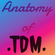 Anatomy of .TDM. image