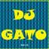DJ GATO - SA, SA, SA, SALSA! MIX 2K16 image