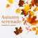 Autumn serenade image