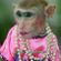 Pink Monkeys image