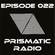 Prismatic Radio Episode 022 with C.A.M. Ft. Maikol image