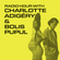 Radio Hour with Charlotte Adigéry & Bolis Pupul image
