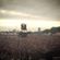 Youth & Jon McClure's DJ Mix, Main Stage, The Libertines, Hyde Park 2014 image