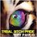 DJ PAULO-'TRIBAL BITCH PRIDE' (Primetime & Circuit) Summer 2017 image