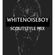WhiteNoiseBoy - ScoutStyle Mix Aug 2015 image