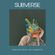 Pav Parrotte - Subverse 3rd Anniversary Mix - May 2017 image