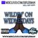 LIVE ON MIXCLOUD!!! WILDIN' ON WEDNESDAYS #13 (HIP HOP) image
