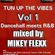 TUN UP THE VIBE VOL1 MIXED BY MIKEY FLEXX SOUNDS image