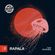 Jazzar vol.19 Rapala image