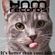 HNM PODCAST #2 image