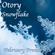 Otory - Snowflake (February Promo Mix 1) image
