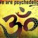 Dj Skunk Fu-We are psychedelic vol.2 image