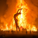 Burning Man 2014  - Deep Tunes for Deep Playa Vol4 - Ollie Mundy image
