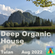 Deep Organic House - Aug 2022 image