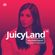 JuicyLand #223 (iEDM Guest mix) image