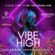 DJ Guru Lieux- Ecstatic Dance (Live Set) @ Vibe High, Inhale Miami 02.12.23 image