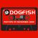 Dogfish Mixtape #4 - November 2009 image