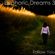 Euphoric Dreams 3: Follow You [Set 2/2] - Trance & Progressive House image