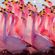 Wild Flamingos ~ Live Set image