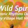 Wild Spirit Dance 13 April 2019 Brilley with Clive Hedger image